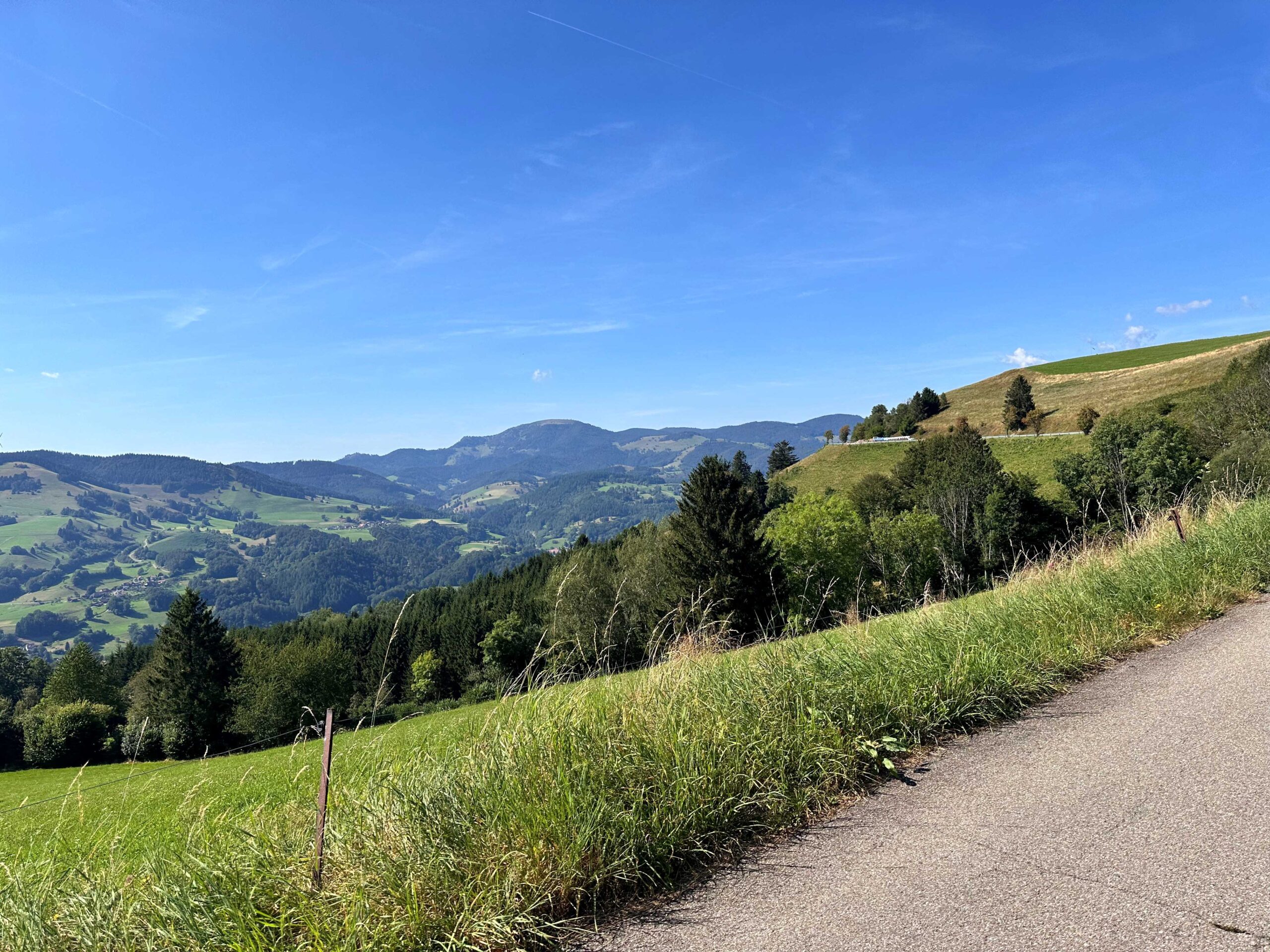 Schwarzwald Super! Oder auch: Höhenmetersammeln im Südschwarzwald